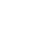 BRONZE PALM AWARD - Mexico International Film Festival - 2017